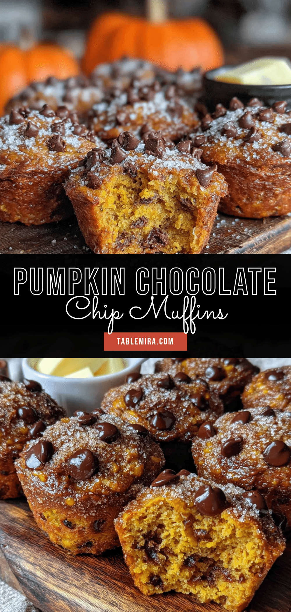 pumpkin chocolate chip muffins recipe
