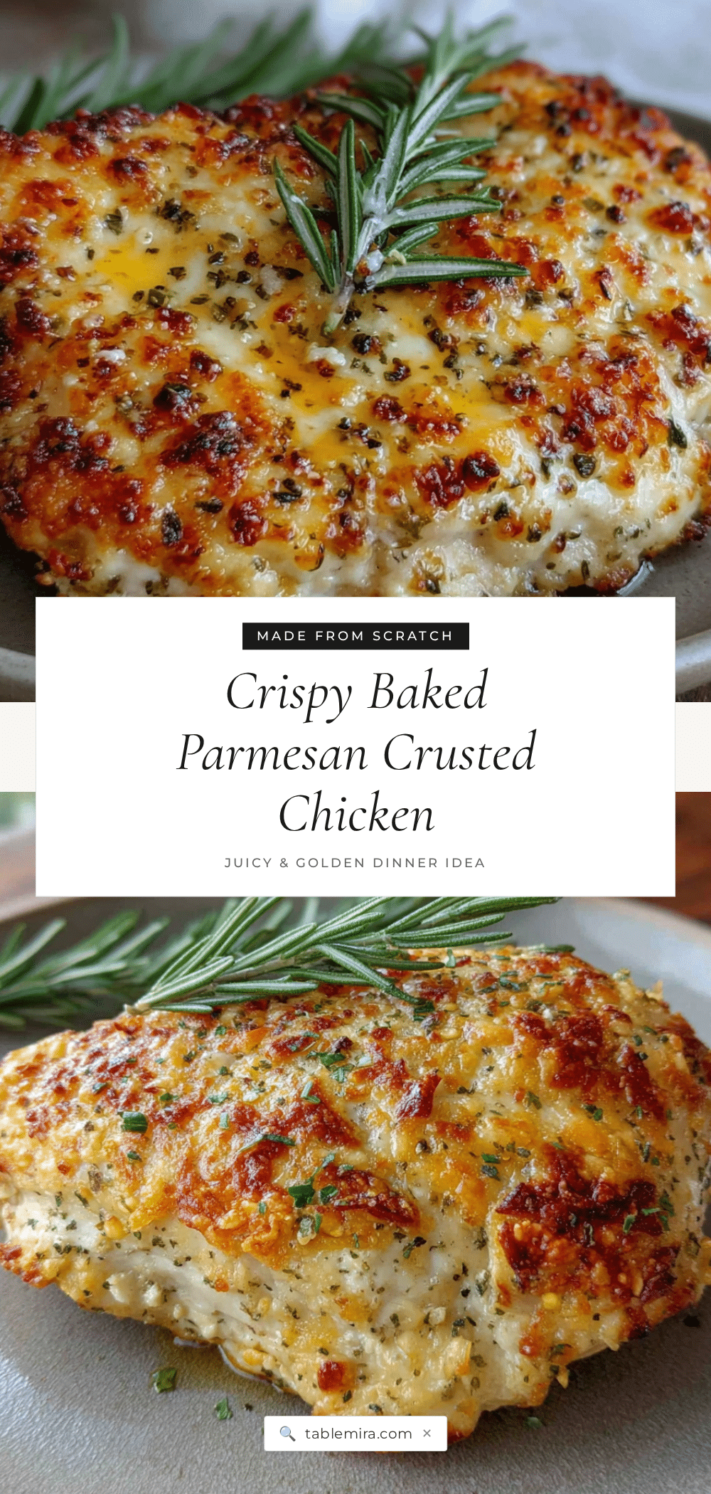 crispy baked parmesan crusted chicken breast recipe
