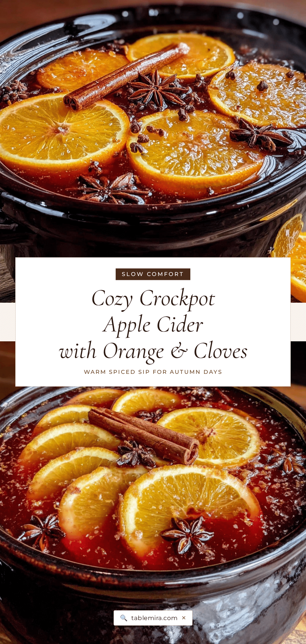 crockpot apple cider with orange and cloves recipe