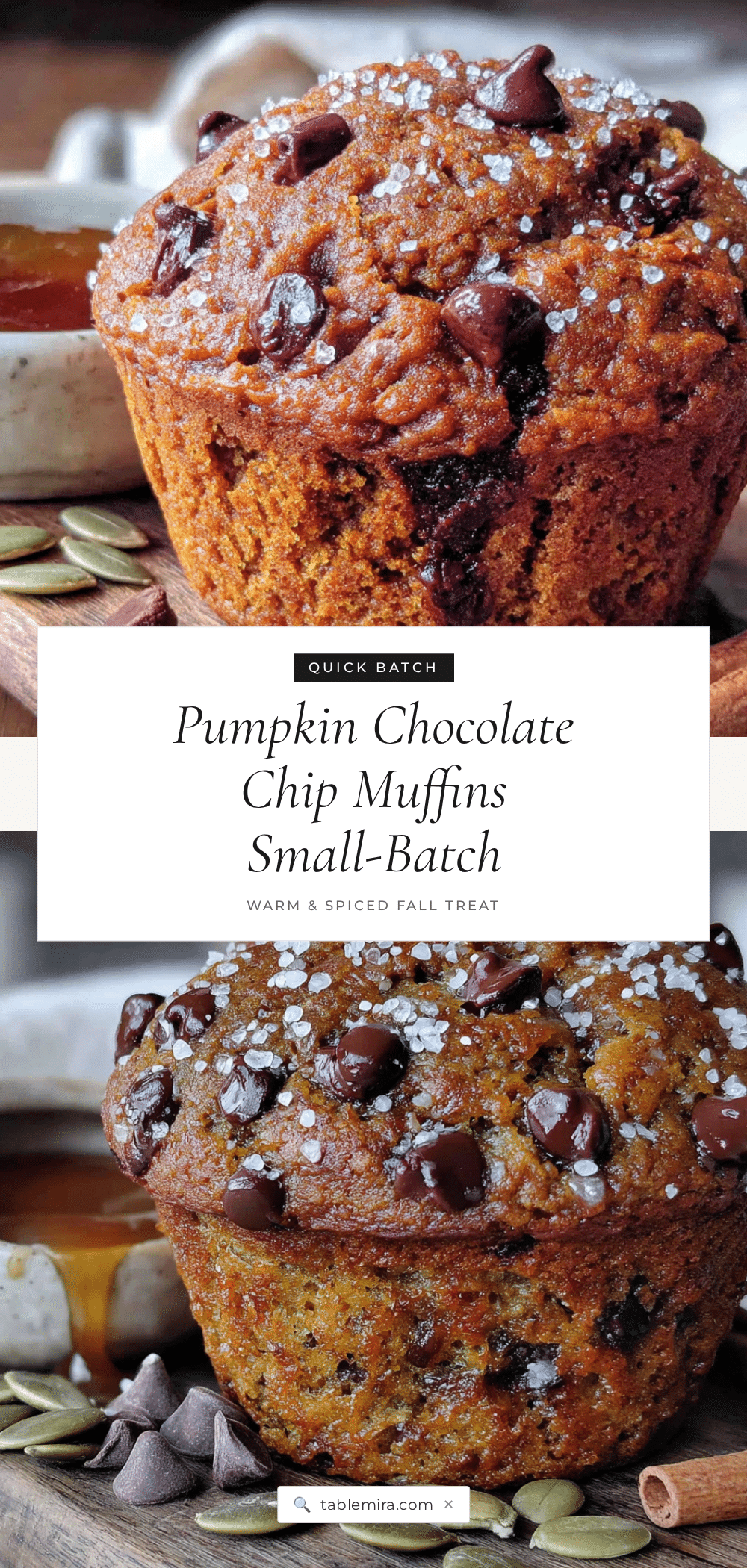 small batch pumpkin chocolate chip muffins recipe