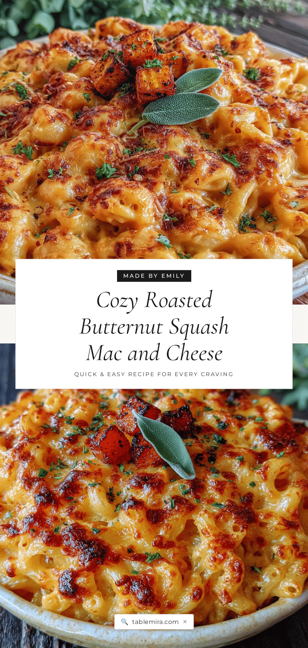 roasted butternut squash mac and cheese recipe